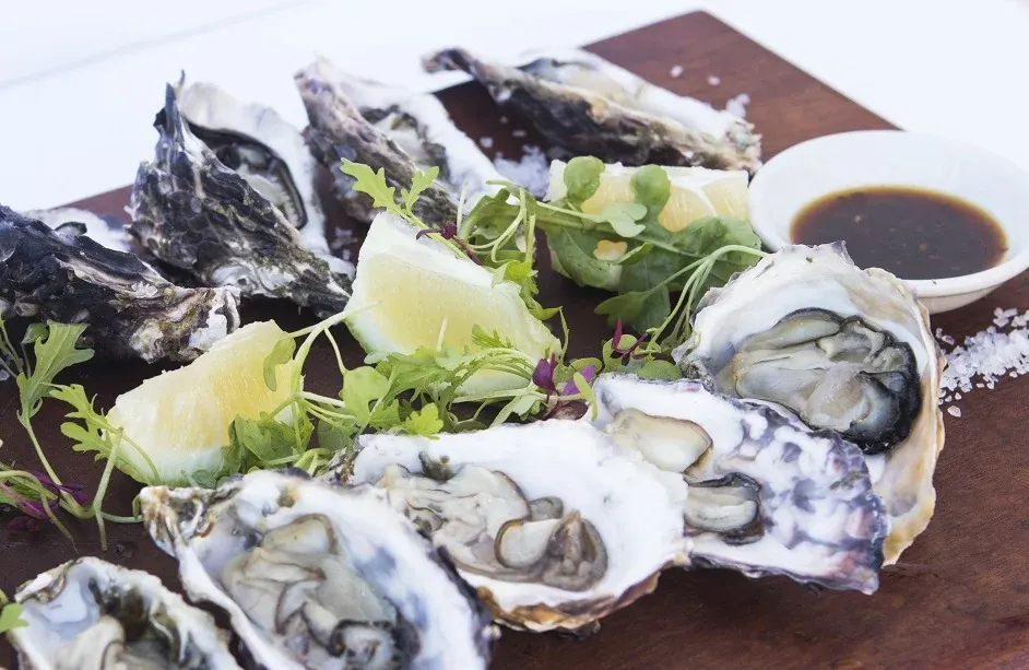 Oysters