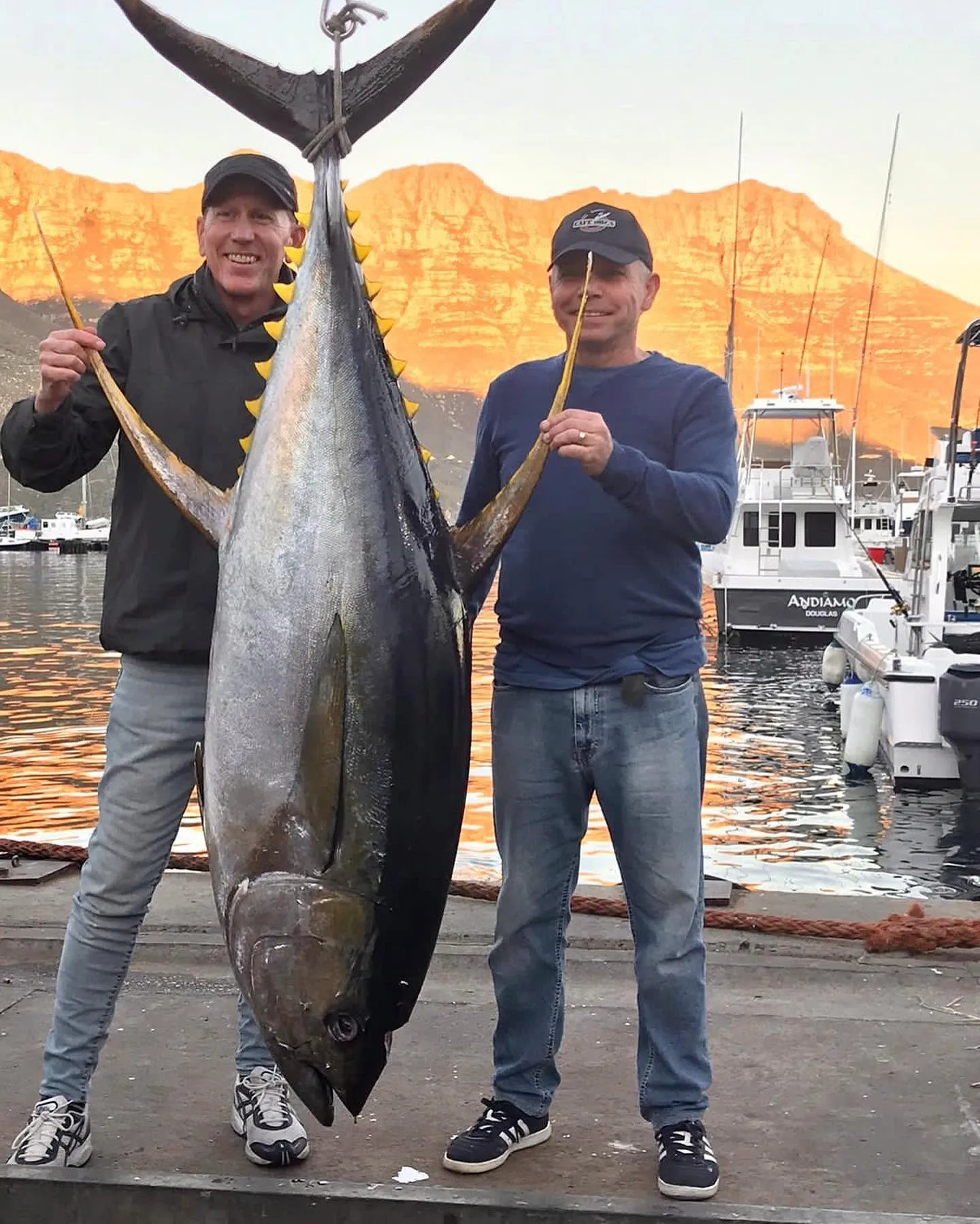 Two men on a harbour quay holding up a huge yellowfin tuna, the mountains glowing orange behind them